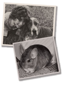 Tribute Tails -  Remembering your beloved pet with dignity.
